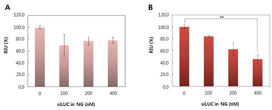 Dex-ss-siLUC 나노젤 (A)과 Dex-ss-siLUC/DUP-1 나노젤 (B)의 gene silencing 효율 평가