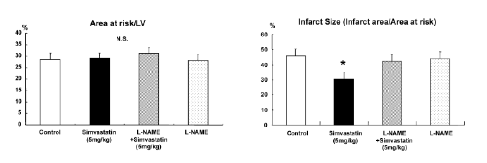 rabbit myocardial infarction model에서 simvastatin의 효과.