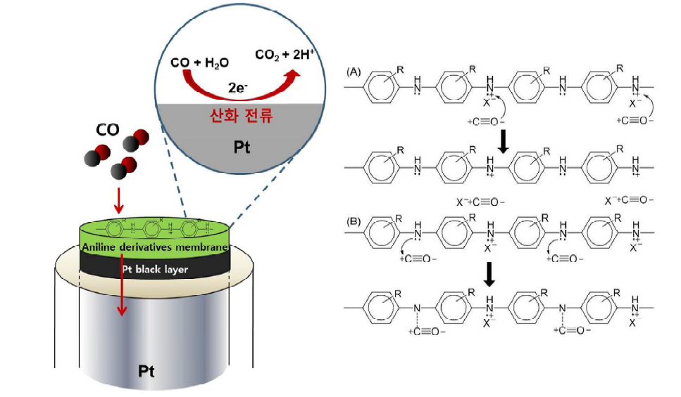 센서 표면에서의 폴리아닐린 막에 의한 CO의 흡착과 전기화학적 산화 전류를 이용한 감응원리.