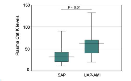 안정형 협심증 환자와 불안정형/심근경색 증 환자에서 혈중 CatK의 Box plot 비교.