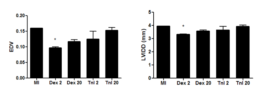 nanogel 전달체 및 Troponin I aptamer 에 의한 심근경색 치료 연구