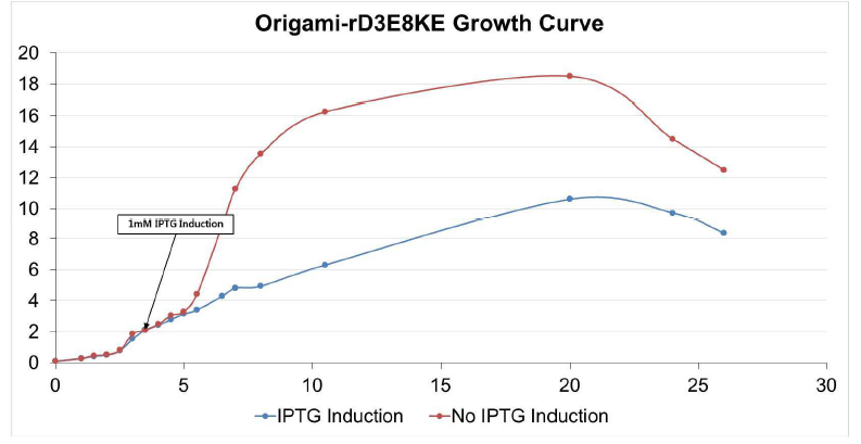 대량생산조건에서 IPTG indcution을 통한 단백질 발현 시 생장곡선