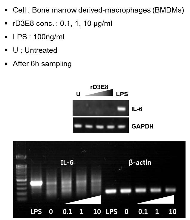 Polymyxin B column을 통한 LPS제거 과정 확립