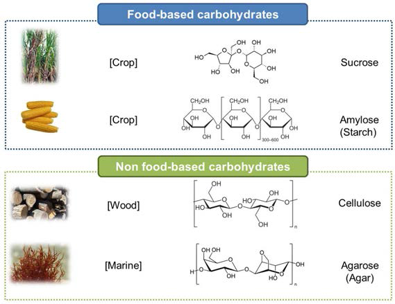 바이오매스기반 탄수화물