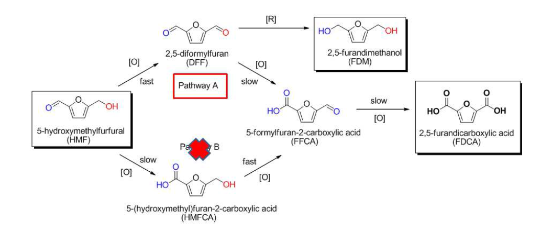 Possible reaction pathway for the formation of FDCA from HMF