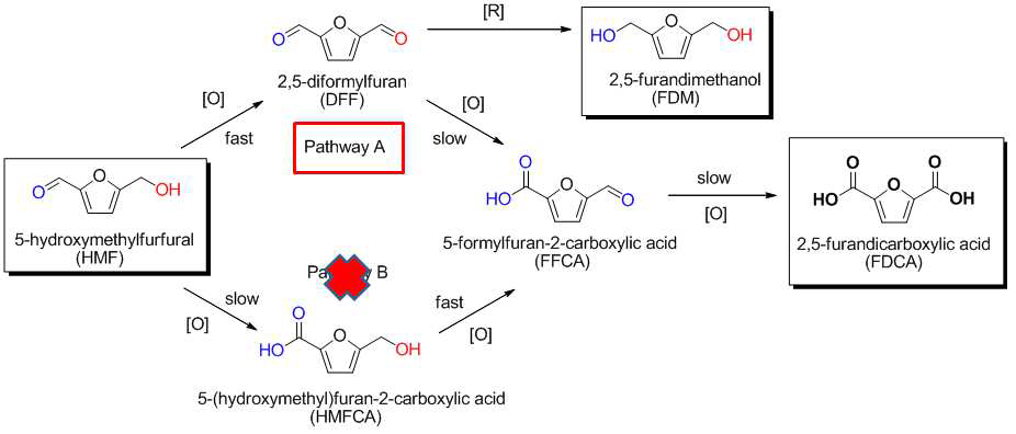 Possible reaction pathway for the formation of FDCA from HMF