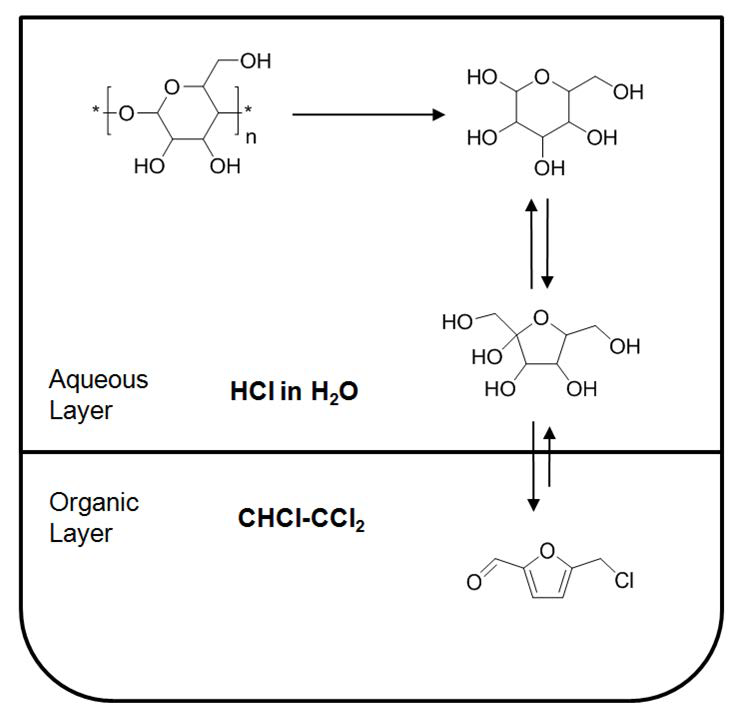 Schematic view of direct conversion of biomass-derived carbohydrates into CMF under biphasic system using conc. hydrochloric acid and 1,1,2-trichloroethane.