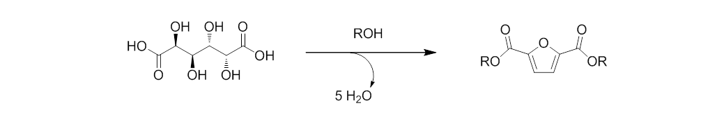 Dehydration of galactaric acid into FDCA alkyl esters.