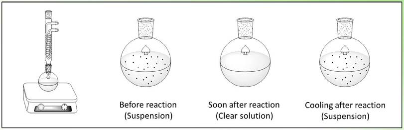 Change of reaction mixture during esterification of galactaric acid into dibutyl galactarate.
