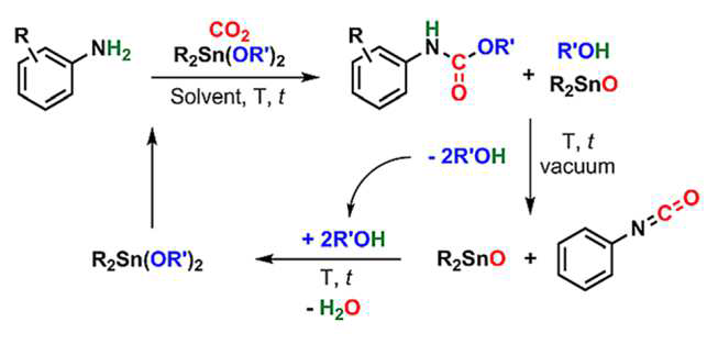 Synthesis of carbamate or isocyanate from amine and CO2 Using organotin derivatives