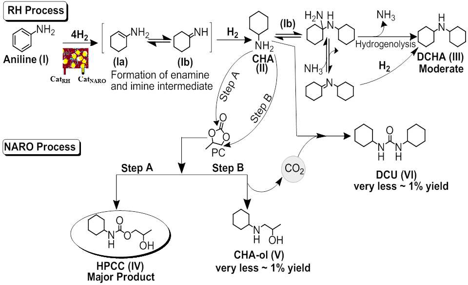 Plausible mechanism for the formation of HPC through RH and NARO reaction