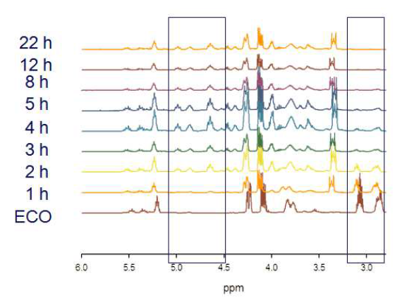 시간에 따른 CCO의 1H-NMR 분석.
