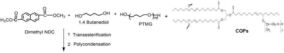 NDC/BD/PTMG(Mw 1000)+COPs(Mw 3000~7000)계 copoly(ether ester) 탄성체 제조