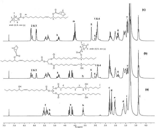 피 마자유 (a), 노보넨 개질 피마자유(NCO)(b) 및 노보넨 개질 피마자유 알코올(NCA)(c)의 1H NMR 분석 결과.