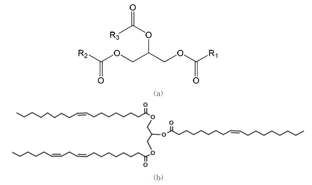 R1, R2, R3가 지방산인 트리글리세리드의 구조 모식도 (a) 와 그 예 (b).