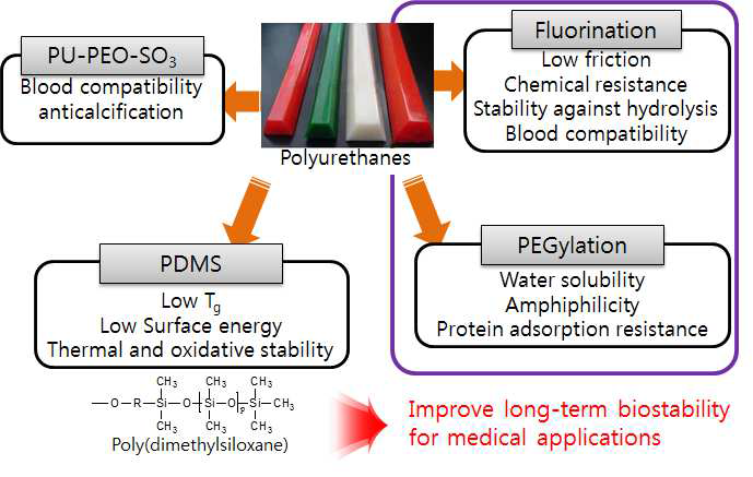 의료용 고분자로의 응용을 위한 폴리우레탄의 개질 전략