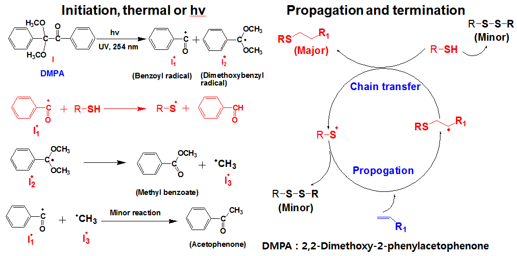 일반적인 thiol-ene coupling 반응의 메카니즘.