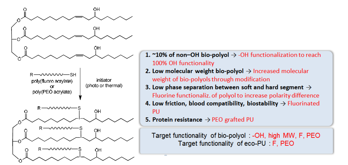 식물유 기반 폴리올을 이용한 eco-TPU의 제조시 식물유 기반 폴리올의 기능화 기대효과, 목표 기능성기 및 thiol-ene click reaction을 통한 기능성 식물유계 폴리올 합성 모식도.
