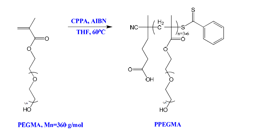 CPPA를 RAFT agent로 사용한 PPEGMA의 합성 과정.