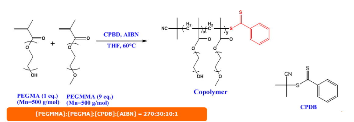 CPDB를 RAFT agent로 사용한 poly(PEGMA-co-PEGMMA)의 합성 모식도.