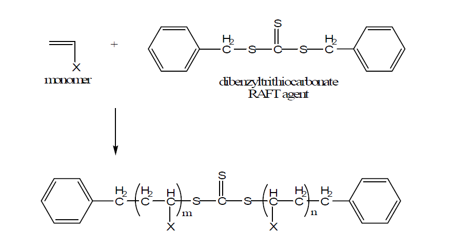 DBTTC를 이용한 RAFT 리빙라디칼 중합에 의하여 합성되는 고분자의 구조: trithiocarbonate