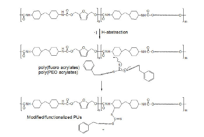 Trithiocarbonate agent로 제조된 RAFT 거대사슬이동제와 폴리우레탄 거대라디칼 사이의 사슬이동반응에 의한 “grating-onto”과정.