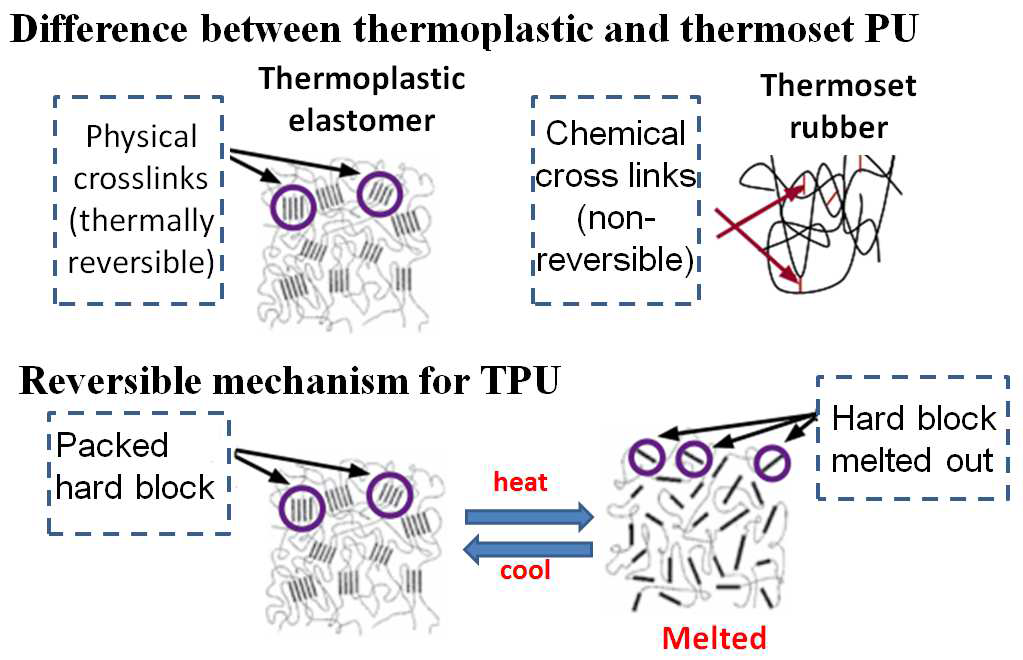 Thermoset PU와 TPU의 차이점 및 TPU의 개념도.