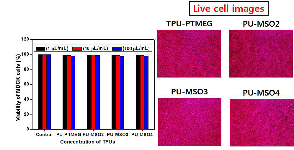 PTMEG 및 구조제어 대두유 기반 폴리올로부터 제조되는 eco-TPU의 MDCK 세포