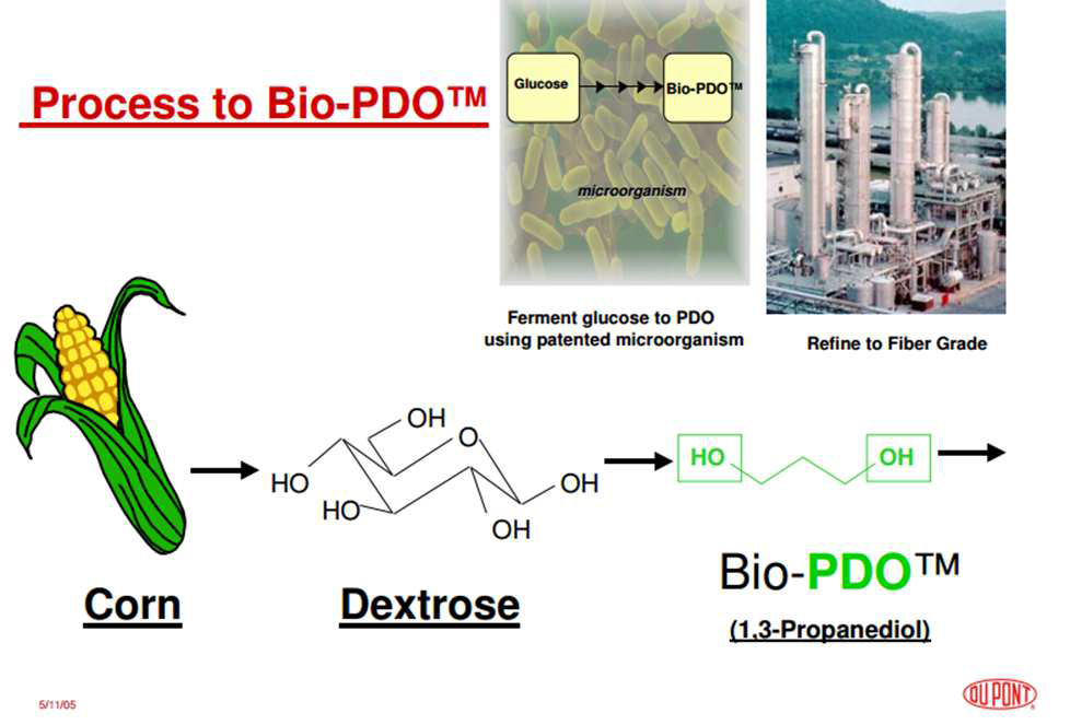 Dupont사의 바이오매스 유래 1,3-propanediol (Bio-based PD) 제조 개요.