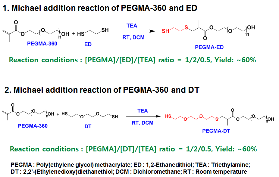 마이클 첨가 반응을 통한 두 가지 종류의 PEGMA-SH의 합성 모식도.