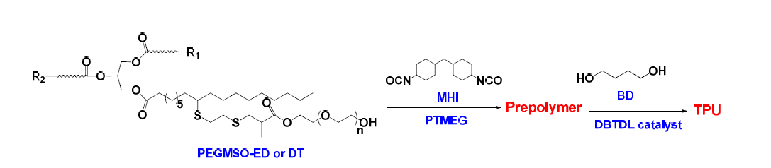 Ethylene oxide 기능화 식물유 기반 열가소성 폴리우레탄의 합성 모식도.