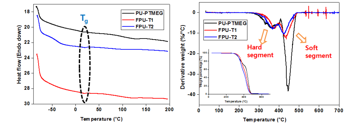 PTMEG와 PEGMSO-ED 또는 PEGMSO-DT 폴리올 기반 FPU-T들의 DSC 곡선.