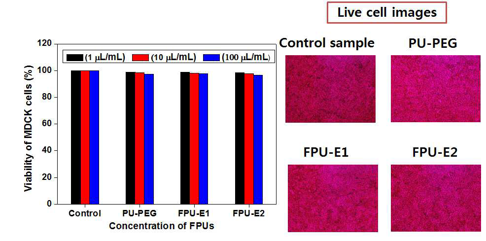 PEG와 PEGMSO-DT 폴리올 기반 FPU들의 MDCK 세포독성평가.