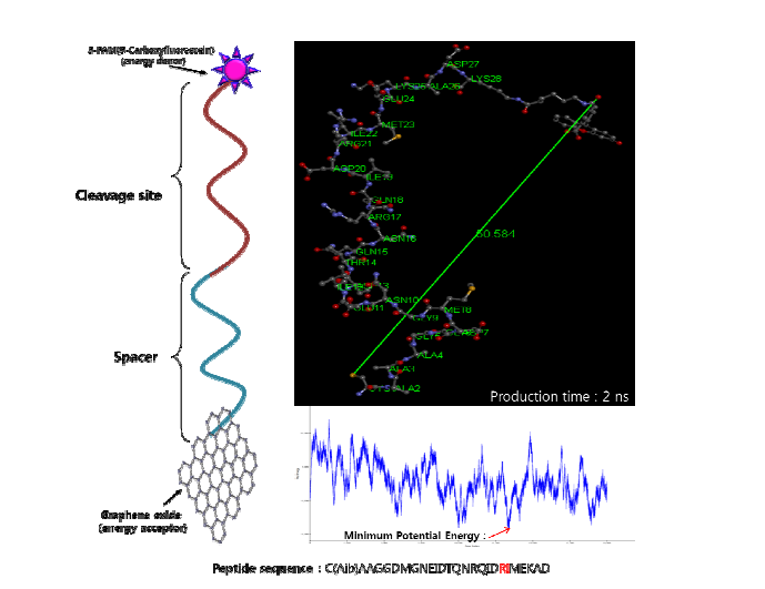 신규 botulinum toxin 결합 리간드 디자인 및 computational simulation 결과