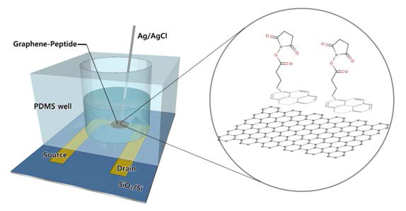 2D 그래핀 기반 수계 FET 센서 제작