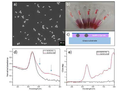a)응집된 금 나노입자 b)응집된 정도에 따른 금 나노입자의 사진 c)Holographic CD 샘 플 설계 응집 전후의 d)흡광도 e)CD