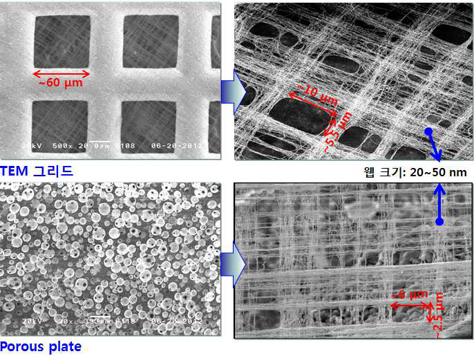 그리드와 porous plate에 형성된 나노웹.