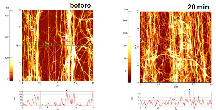 O2 플라즈마 처리 전 탄소나노튜브 시트의 AFM 결과(오른쪽)와 플라즈마 처리 후 AFM 결과(왼쪽).
