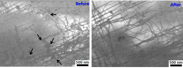 백시니아 바이러스 제거 전 웹 필터에 걸려 있는 모습(왼쪽)과 완전히 제거된 SEM 사진(오른쪽)