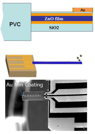 본 연구에 사용된 ZnO 켄틸레버 타입 힘센서 개략도와 실제 형상
