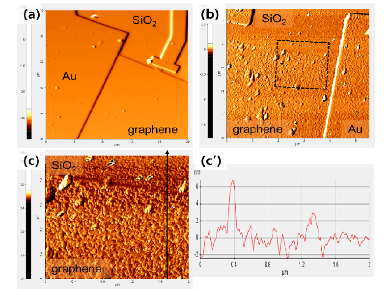 그래핀 소자의 원자력현미경(AFM) 이미지.