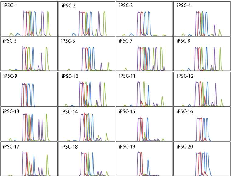 iPSC 유전자 발현 프로파일. DNMTs, blue; HMTs, red; PcGs, green; HDMs, purple.