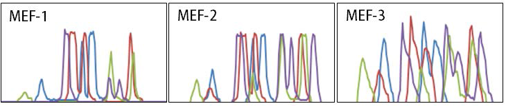 MEF 유전자 발현 프로파일. DNMTs, blue; HMTs, red; PcGs, green; HDMs, purple.