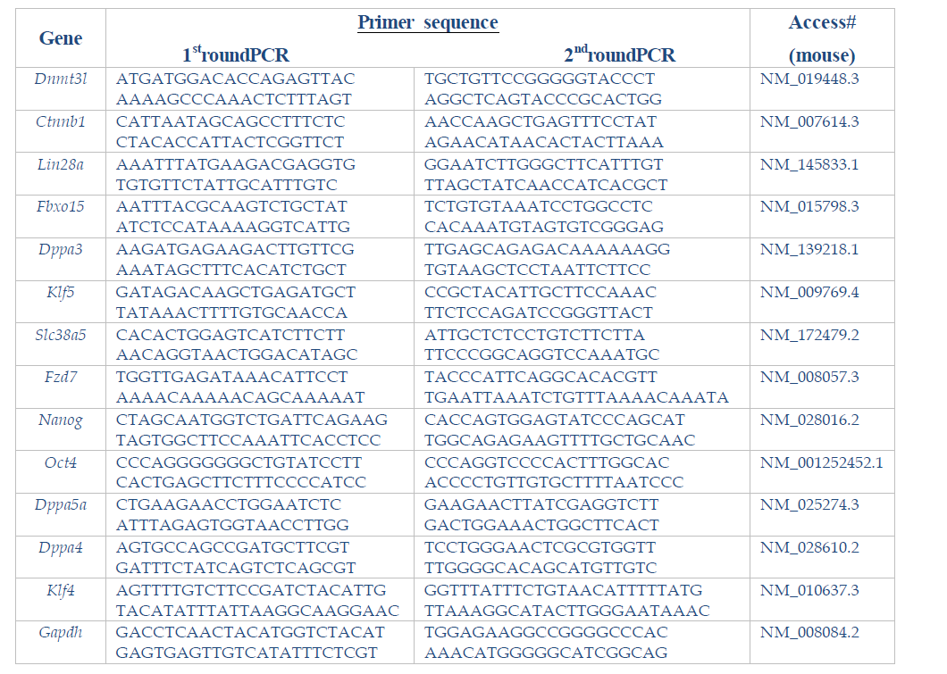 multiplex RT-PCR을 위한 프라이머 세트