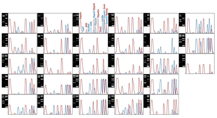 mESC 콜로니의 유전자 발현 intensity 프로파일.