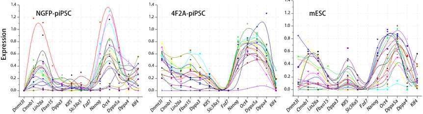 그룹 간 개별 piPSC 콜로니의 gene expression profiles(GEP). 서로 다른 색깔의 선이 각각 개별 콜로니의 GEP를 나타냄. Gapdh level = 1.0