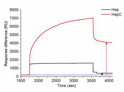 SPR 분석법으로 표면에 코팅된 헤파린-카 테콜 정량 분석
