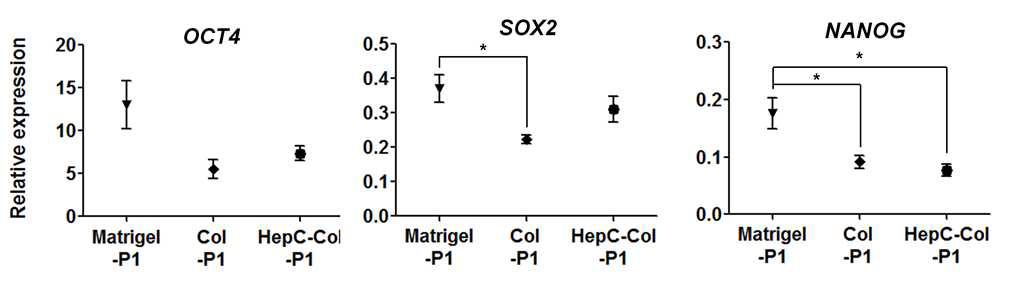 마트리젤 (Matrigel), 콜라겐1 (Col), 헤파린-카테콜/콜라겐1 (HepC-Col) 코 팅 표면에서 처음 배양된 인간 배아 줄기세포(Passage 1, P1)의 줄기세포 마커 유전자 발현 확인