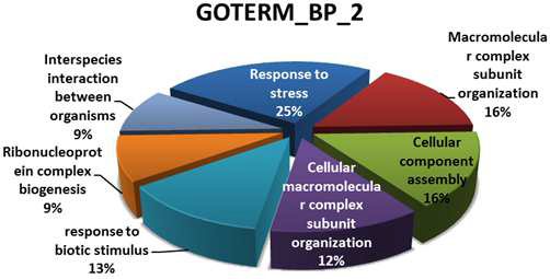 Biological Process - iPS (CRL#12)