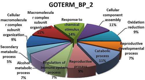 Biological Process - FB-iPS